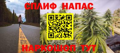 сатива Шелехов