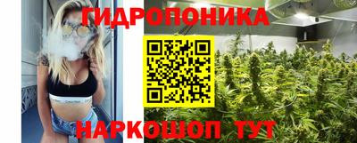 винт Шахты
