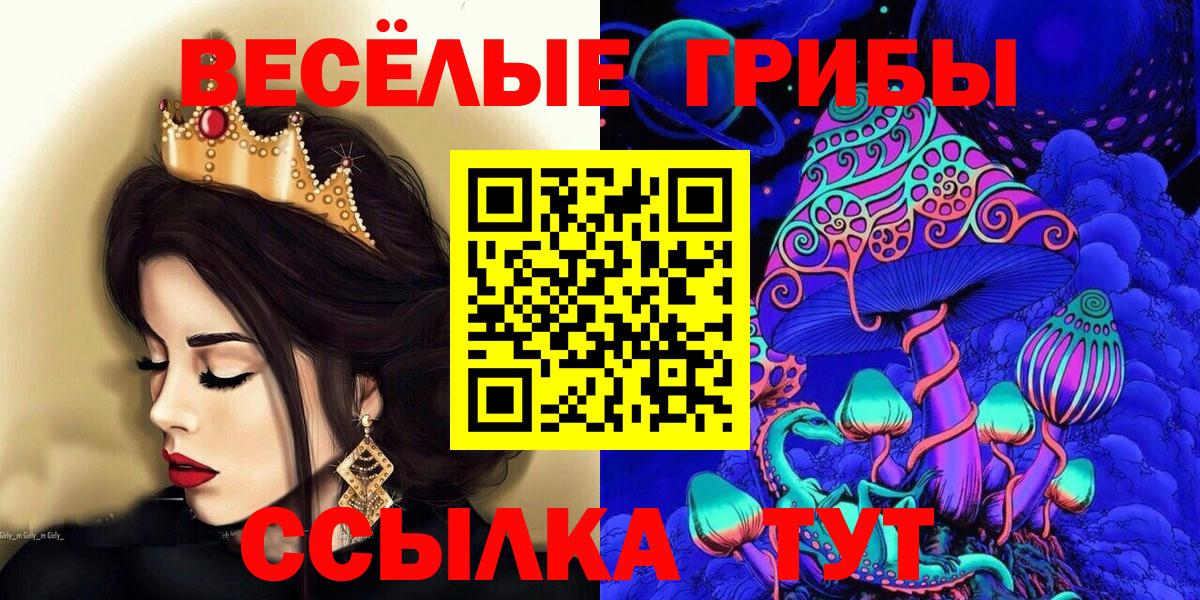 Псилоцибиновые грибы Psilocybine cubensis Когалым