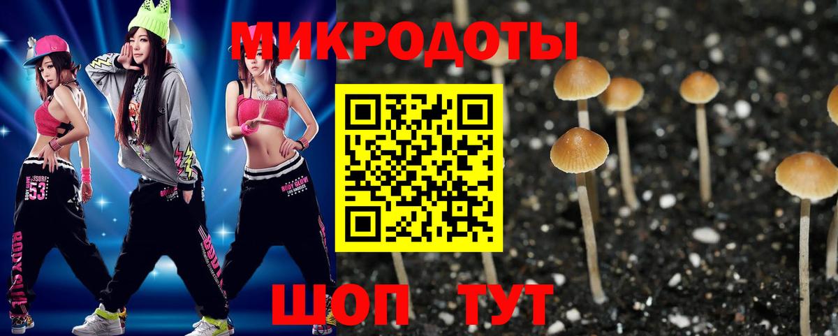 Когалым  Галлюциногенные грибы Psilocybe  Псилоцибиновые грибы GOLDEN TEACHER  Вход с VPN 